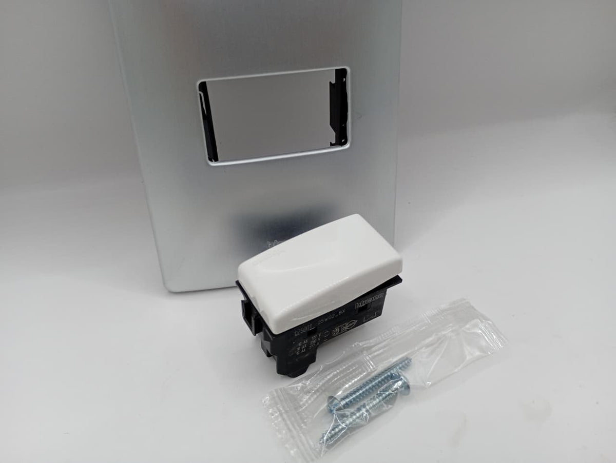Pack 2 Placa Plata 1 Módulo + Interruptor Bticino