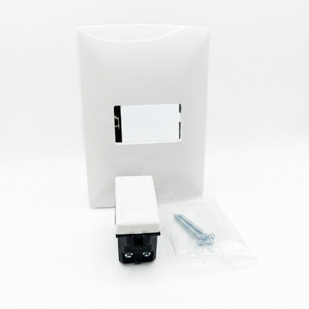 Pack 2 Placa Blanco 1 Módulo + Interruptor Bticino