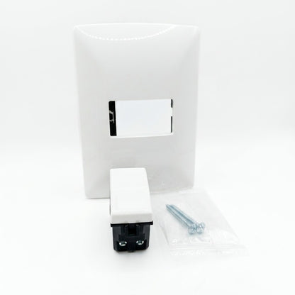 Pack 2 Placa Blanco 1 Módulo + Interruptor Bticino