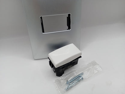 Pack 2 Placa Plata 1 Módulo +  Interruptor Bticino