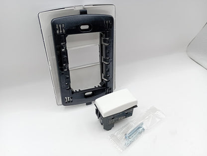 Pack 2 Placa Plata 1 Módulo +  Interruptor Bticino