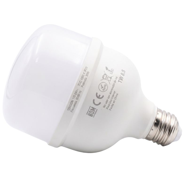 LAMPARA ALTA POTENCIA 30W BAP-