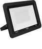 Reflector LED 100W 6500K YEE